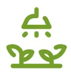 Simple green icon showing two sprouting plants under a sun with rays, representing growth or agriculture.