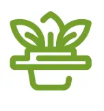 A green icon of a tree with two leaves, growing above a picnic table.